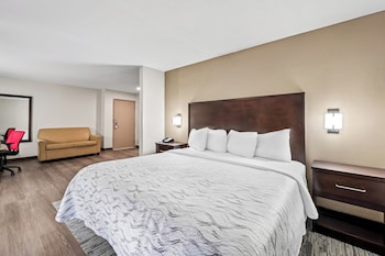 Suite, 1 King Bed with Sofa bed (Smoke Free)