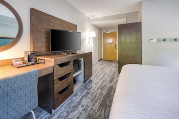 Room, 1 King Bed (Roll-In Shower)