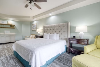 Suite, 1 King Bed with Sofa bed, Non Smoking