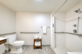 Room, 1 King Bed (Roll-In Shower)