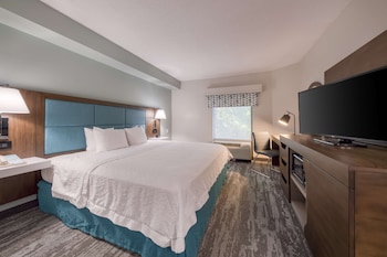 Room, 1 King Bed, Accessible, Bathtub