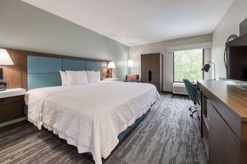 Room, 1 King Bed, Non Smoking, Refrigerator