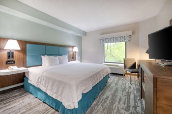 Room, 1 King Bed, Accessible, Bathtub