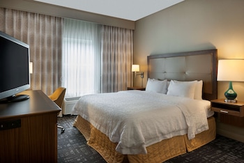 Suite, 1 King Bed, Accessible, Bathtub (Mobility & Hearing)