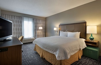 Room, 1 King Bed, Non Smoking