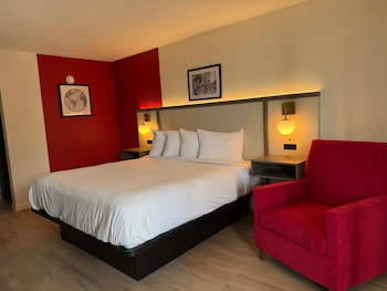 Room, 1 King Bed, Mobility Accessible, Non Smoking (Roll-In Shower)