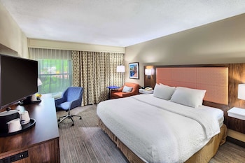 Standard Room, 1 King Bed, Non Smoking