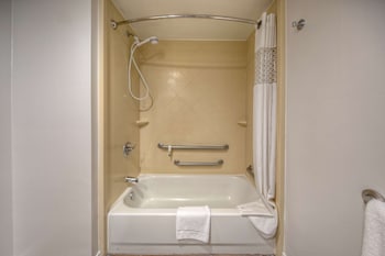 Room, 1 King Bed, Accessible, Bathtub (Mobility & Hearing)