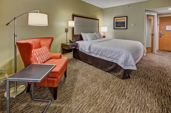 Room, 1 King Bed