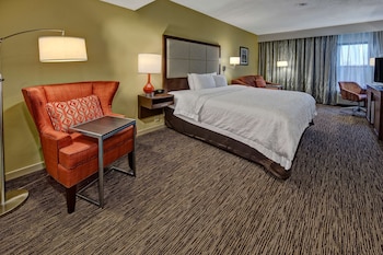 Room, 1 King Bed with Sofa bed, Refrigerator & Microwave