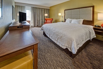Room, 1 King Bed
