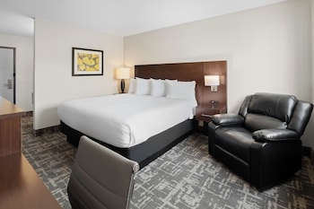 Deluxe Room, 1 King Bed (KING NON-SMOKING)