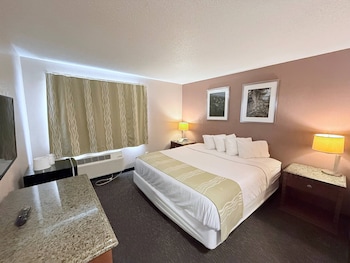 Room, 1 King Bed