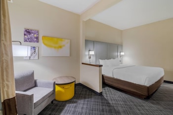 Room, 1 King Bed, Non Smoking