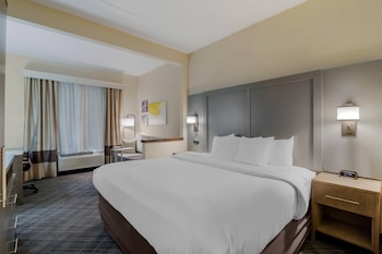 Room, 1 King Bed, Non Smoking