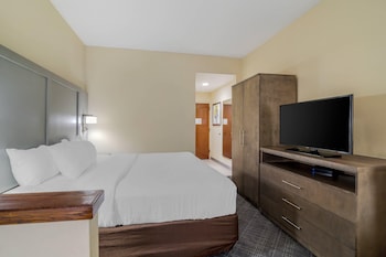 Room, 1 King Bed, Non Smoking