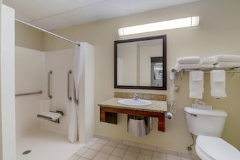 Room, 1 King Bed, Accessible, Non Smoking (Roll-In Shower)