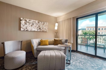 Room, 1 King Bed with Sofa bed, Hearing Accessible (Roll-in Shower)