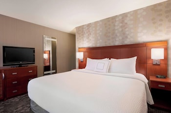 Room, 1 King Bed with Sofa bed, Hearing Accessible (Roll-in Shower)