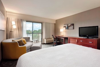 Room, 1 King Bed with Sofa bed, Hearing Accessible (Roll-in Shower)