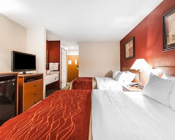 Standard Double Room, 2 Double Beds, Non Smoking