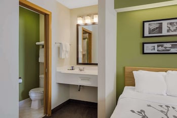 Standard Room, 2 Double Beds, Non Smoking