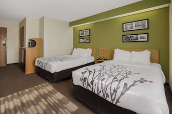 Room, 2 Double Beds, Accessible, Non Smoking