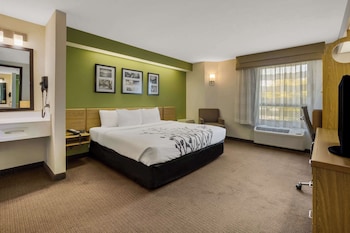 Standard Room, 1 King Bed, Non Smoking