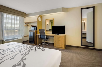 Standard Room, 1 King Bed, Non Smoking