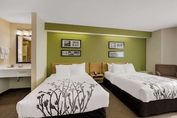 Standard Room, 2 Double Beds, Non Smoking