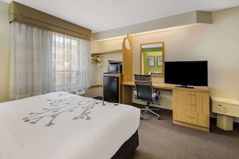 Room, 1 King Bed, Accessible, Non Smoking