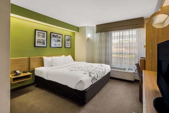 Room, 1 King Bed, Accessible, Non Smoking
