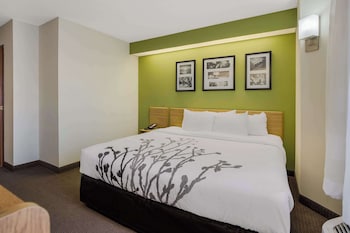 Room, 1 King Bed, Accessible, Non Smoking