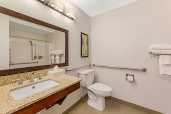 Room, 1 King Bed, Accessible, Non Smoking