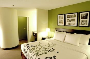 Standard Room, 1 King Bed, Non Smoking