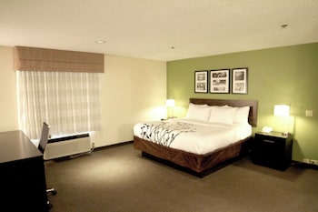 Room, 1 Queen Bed, Accessible, Non Smoking