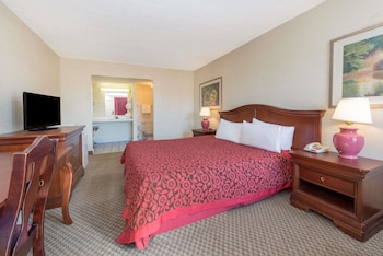 Room, 1 King Bed, Accessible