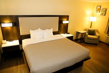 Standard Room, 1 King Bed, Non Smoking