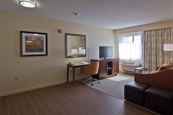 Suite, 1 King Bed (No Kitchen, Shower Only)
