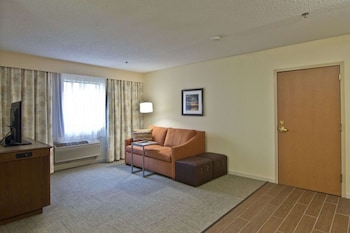 Suite, 1 King Bed (No Kitchen, Shower Only)
