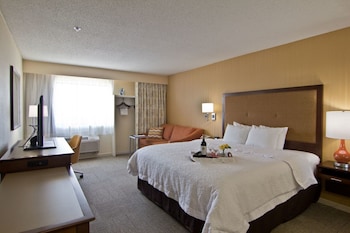 Room, 1 King Bed, Accessible, Bathtub