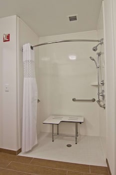 Room, 1 King Bed, Accessible (Roll-in Shower)
