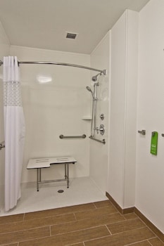 Room, 1 King Bed, Accessible (Roll-in Shower)
