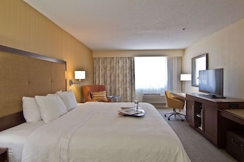 Suite, 1 King Bed (No Kitchen, Shower Only)