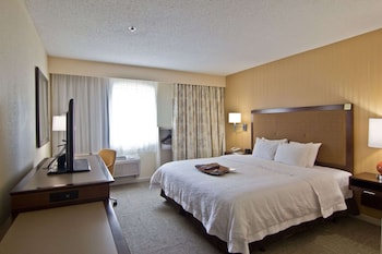 Room, 1 King Bed, Accessible, Bathtub