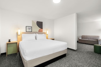 Room, 1 King Bed with Sofa bed