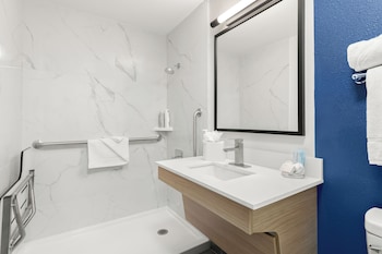 Room, 1 King Bed, Accessible (Mobility, Roll-In Shower)