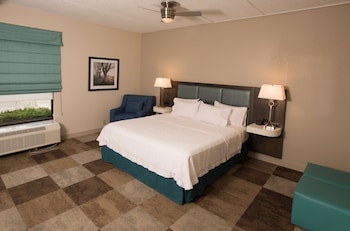 Suite, 1 King Bed, Non Smoking