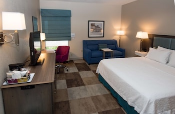 Room, 1 King Bed with Sofa bed, Accessible (Mobility & Hearing, Roll-in Shower)