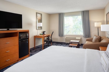 Room, 1 King Bed with Sofa bed
